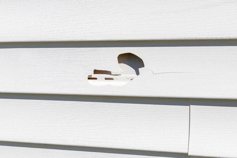 Vinyl Siding Repair Expert 1