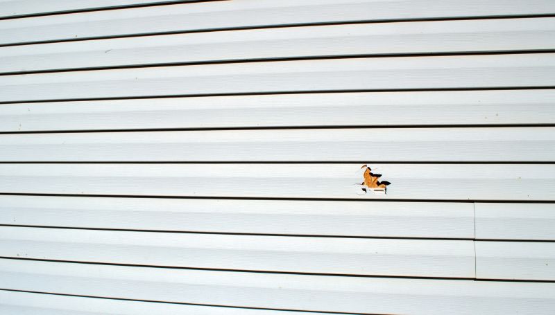 Vinyl Siding Repair Expert 2