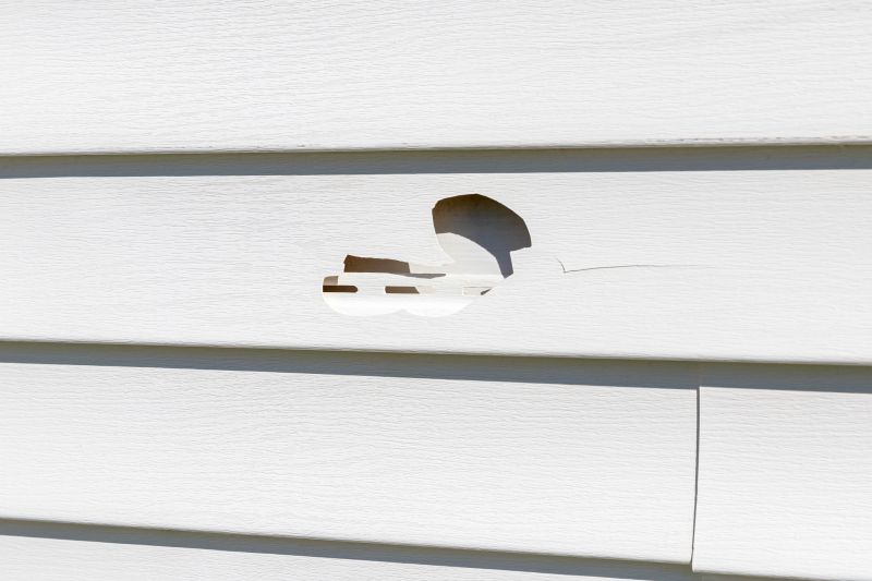Vinyl Siding Repair Professional 1