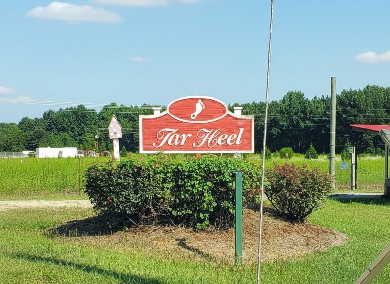 Best Siding Replacement pros in Angier, NC